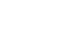 IntelligenceSoft
