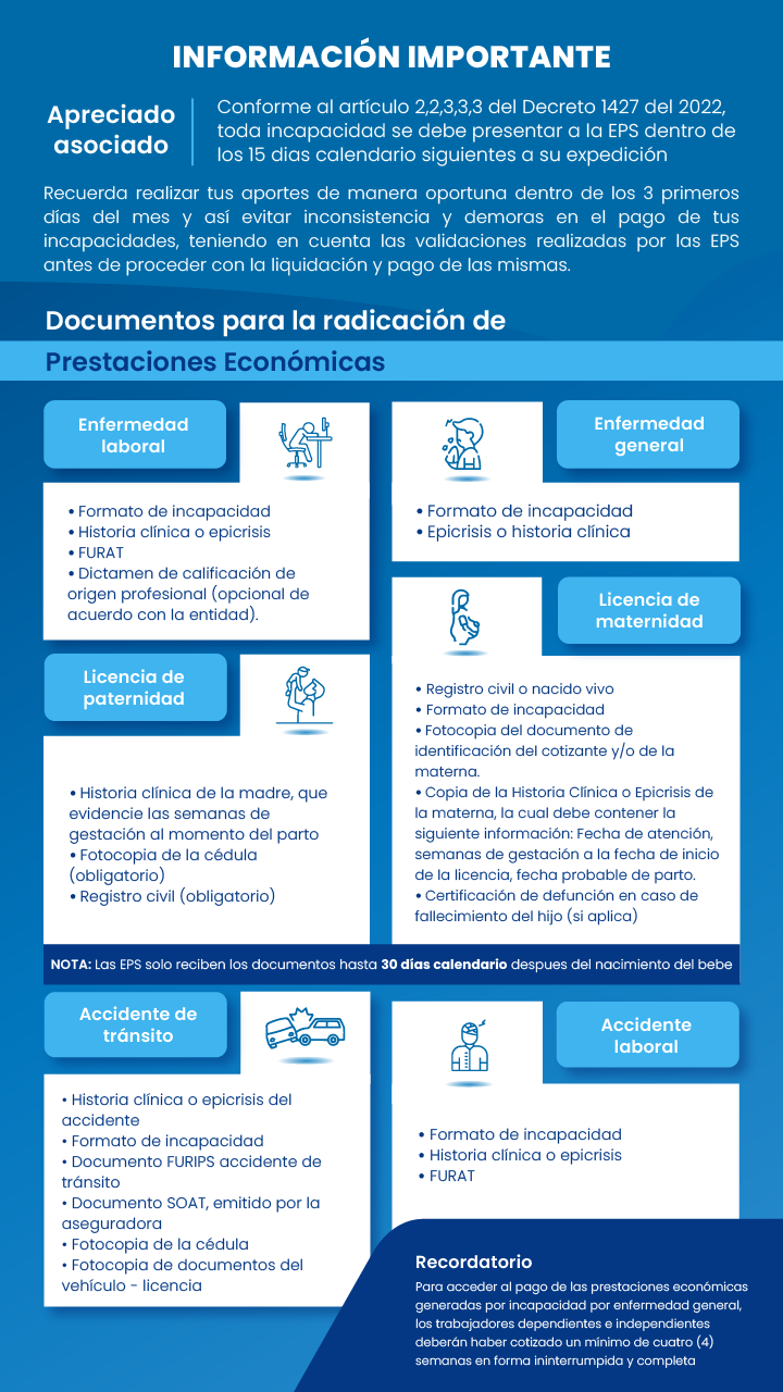 Infografia incapacidades